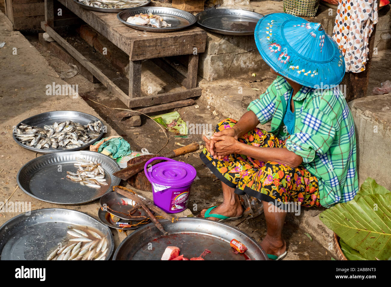 Poissonnier femelle conique traditionnelle en Asian hat & sarong prépare le poisson pour la vente dans le marché par le village Kanne la rivière Chindwin, Myanmar (Birmanie) Banque D'Images