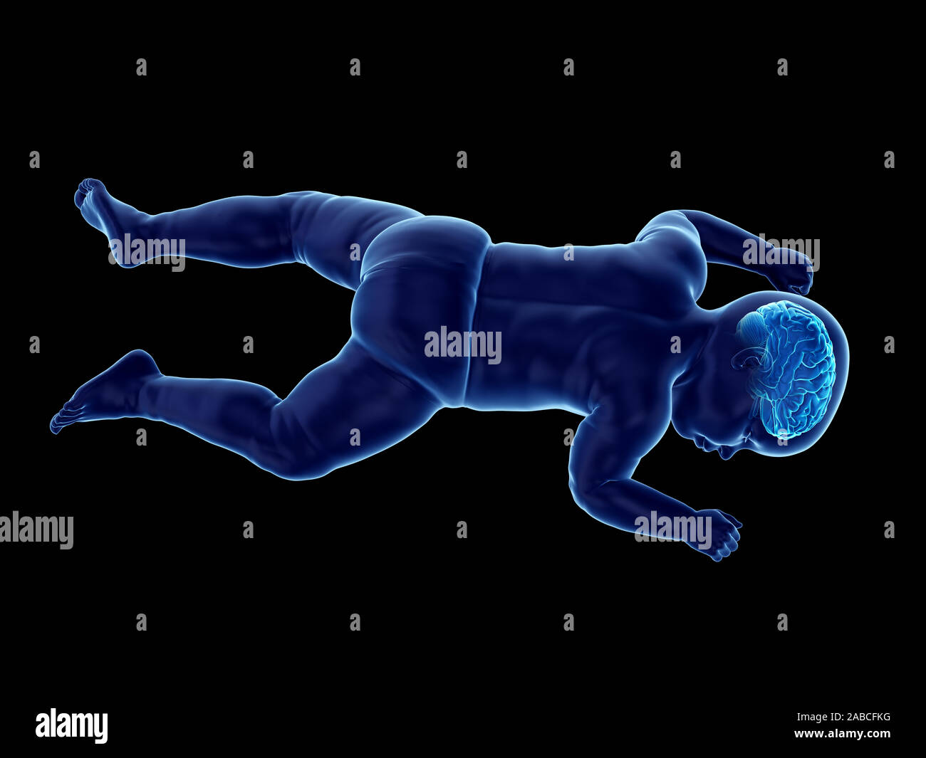 Médicalement en rendu 3d illustration précise du cerveau d'un bébé Banque D'Images