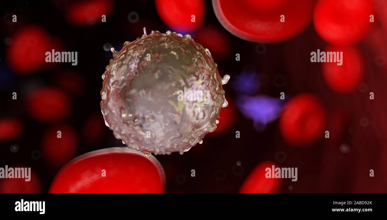 Rendu 3D précis médicalement illustration d'un globule blanc Banque D'Images