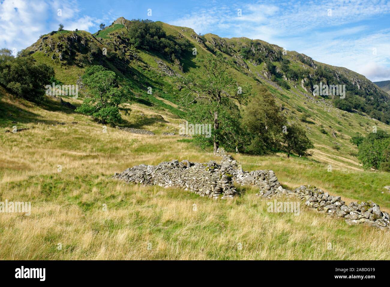 Crag, rugueux, Riggindale Haweswater, Cumbria Banque D'Images