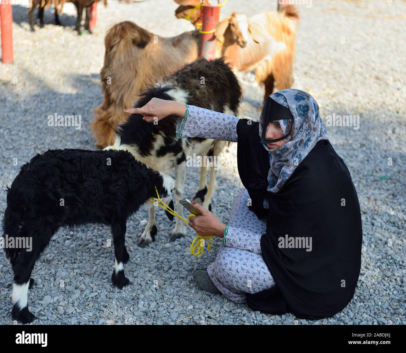 Nizwa, Oman, le 23 novembre 2018 : La femme omanaise à chèvre vente marché animaux à Nizwa, Oman. Banque D'Images
