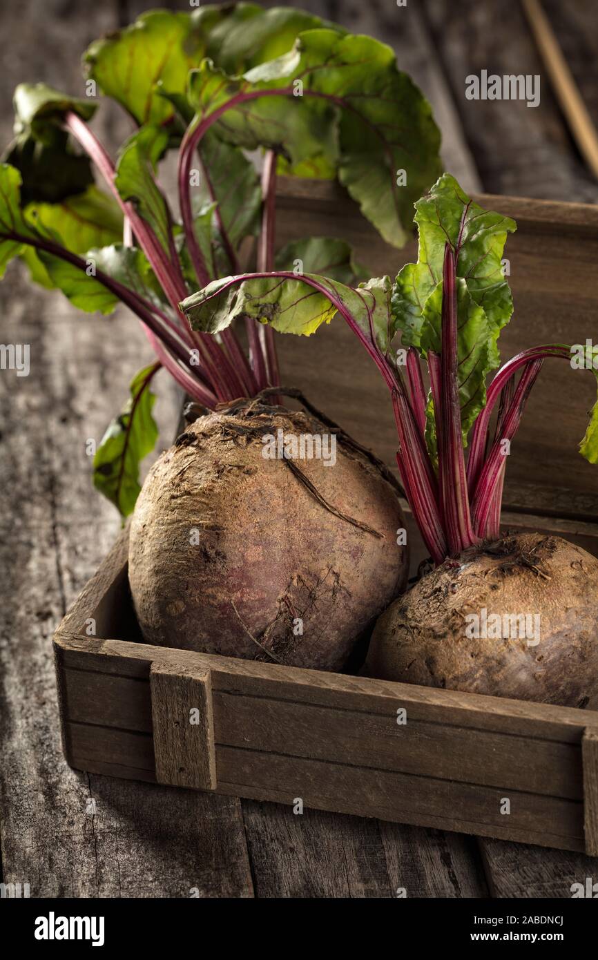 Close-up de betterave bio frais sur une table en bois Banque D'Images