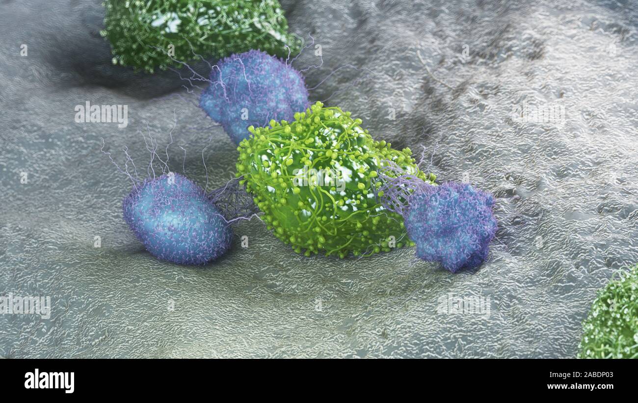 Rendu 3D précis médicalement illustration d'une cellule de cancer d'être attaqués par les leucocytes Banque D'Images