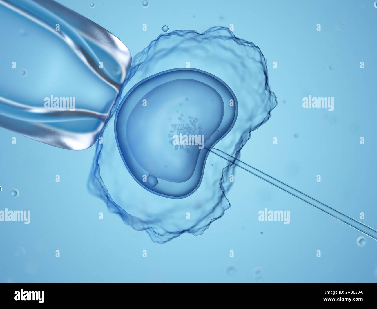 Médicalement en rendu 3d illustration exacte d'une fécondation in vitro Banque D'Images