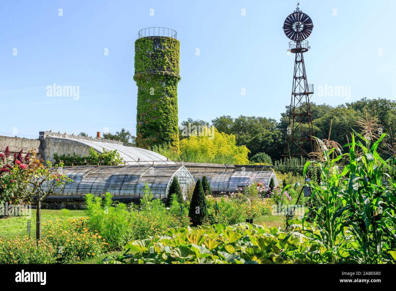 France, Indre et Loire, Vallée de la Loire classée au Patrimoine Mondial de l'UNESCO, Montlouis Sur Loire, Chateau de la Bourdaisiere park et jardins, la conserv Banque D'Images