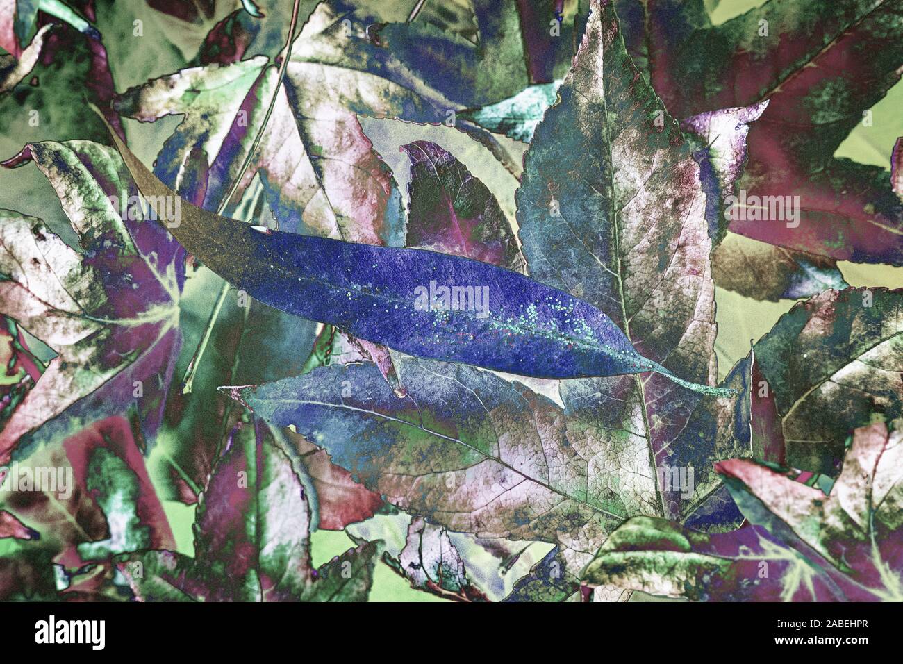 La texture numérique rustique vintage. Les feuilles d'automne collage avec mentions légales mots sur papier. Toile de vœux. Abstract grunge collection paper. Banque D'Images