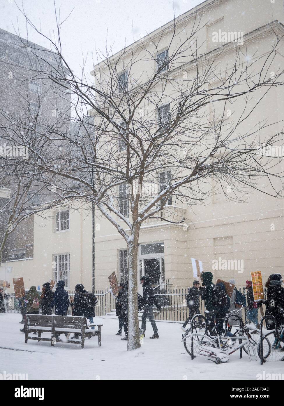 Les étudiants protestant dans la neige passent devant une Pagode japonaise urbaine ou Scholar Tree (Styphnolobium japonicum), Bloomsbury, Londres, Royaume-Uni Banque D'Images