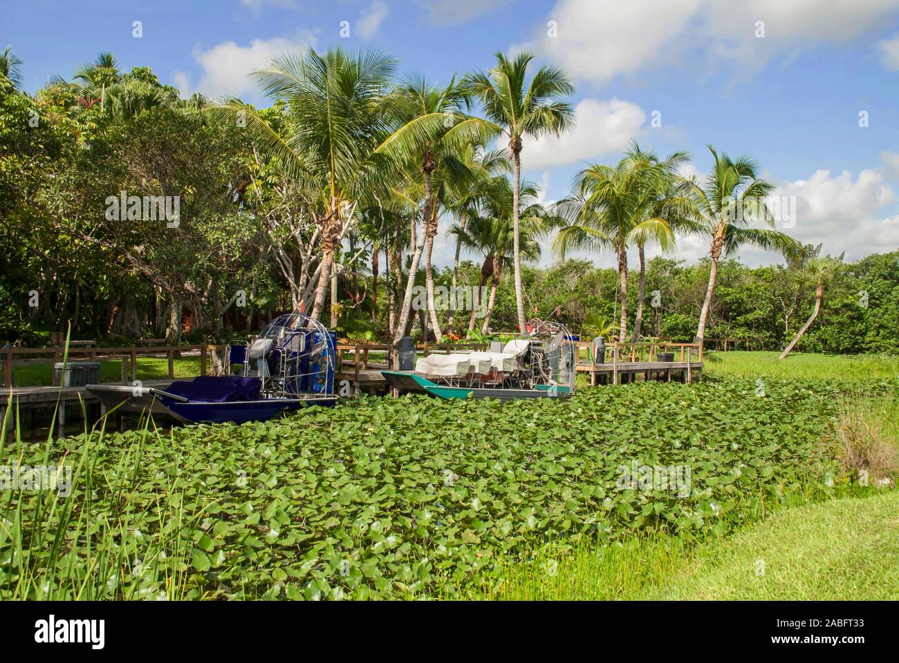 Le Parc National des Everglades, en Floride Banque D'Images
