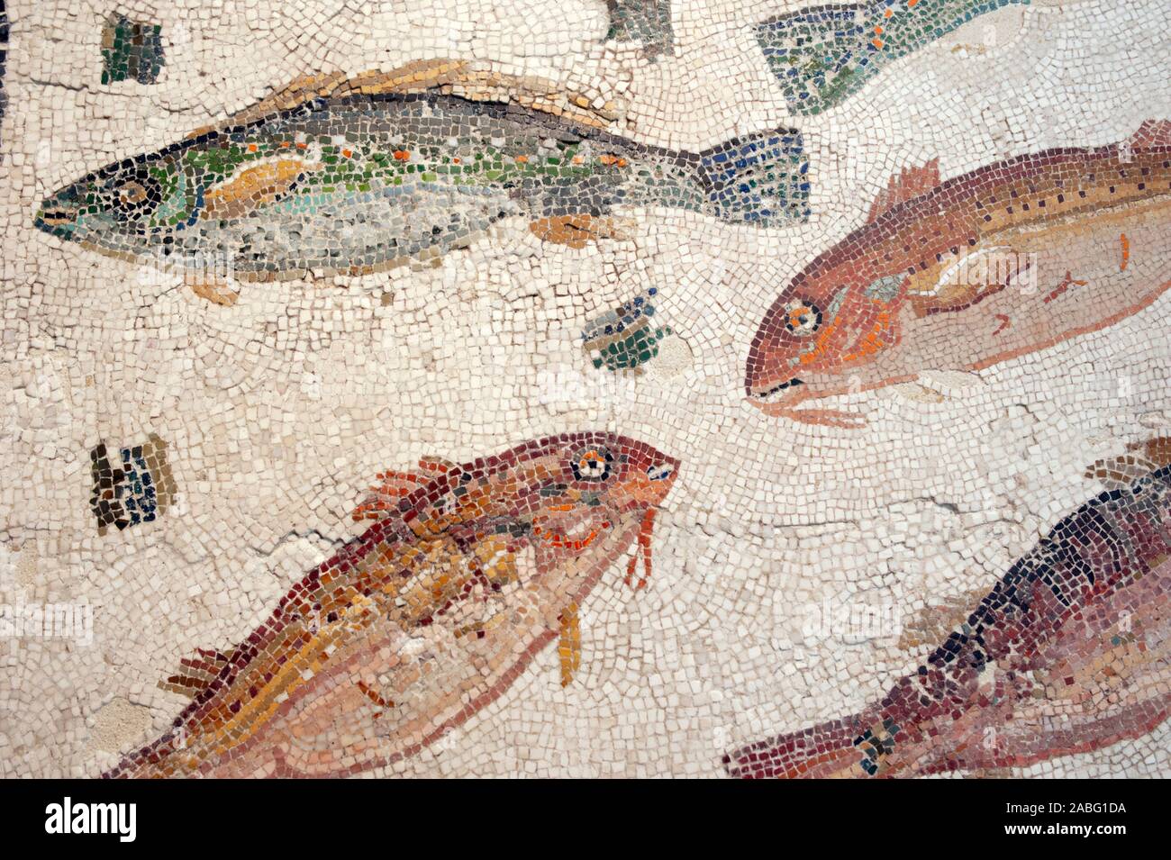 Italie, Rome, Palazzo Massimo alle terme, Museo Nazionale Romano, Musée national romain, mosaïque romaine avec poissons (2nd-3rd siècle après J.-C.) Banque D'Images