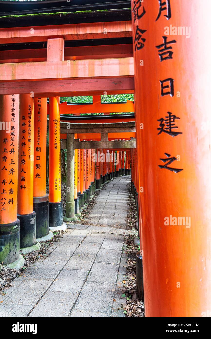 Kyoto, Fushimi ku,Japon, Asie - 5 septembre 2019 : Senbon Torii, la rangée de Torii Gates au Sanctuaire Fushimi Inari taisha, Banque D'Images