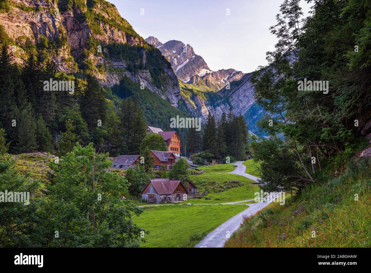 Chemin forestier menant à Seealpsee Lake dans les Alpes Suisses Banque D'Images