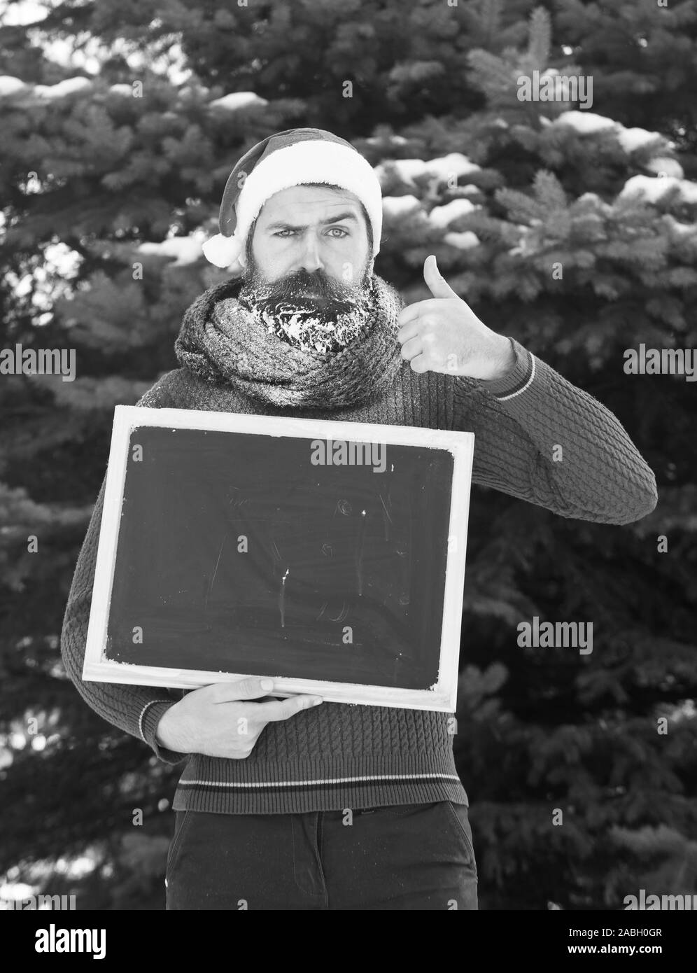 L'homme fronce dans santa claus hat, hipster avec barbe et moustache recouverte de givre, avec tableau noir ou tableau blanc donne Thumbs up geste sur journée d'hiver sur fond naturel, copy space Banque D'Images L'homme fronce dans santa claus hat, hipster avec barbe et moustache recouverte de givre, avec tableau noir ou tableau blanc donne Thumbs up geste sur journée d'hiver sur fond naturel, copy space Banque D'Images