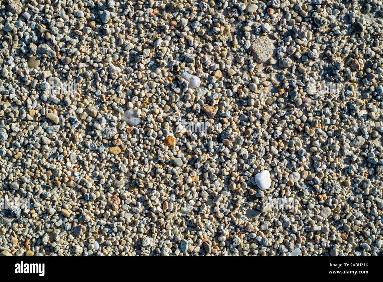 Close-up de gros grains de sable sur la plage Banque D'Images