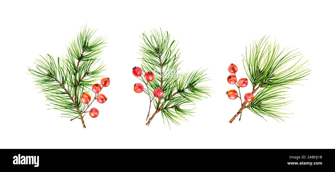 Jeu de Noël avec des branches de pins verts et fruits rouges isolé sur fond blanc. Aquarelle illustration pour la célébration du Nouvel An, de l'accueil Banque D'Images