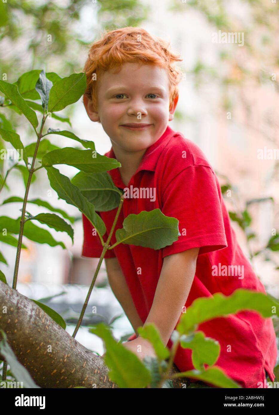 Young red haired boy freckles Banque de photographies et d'images à haute  résolution - Alamy