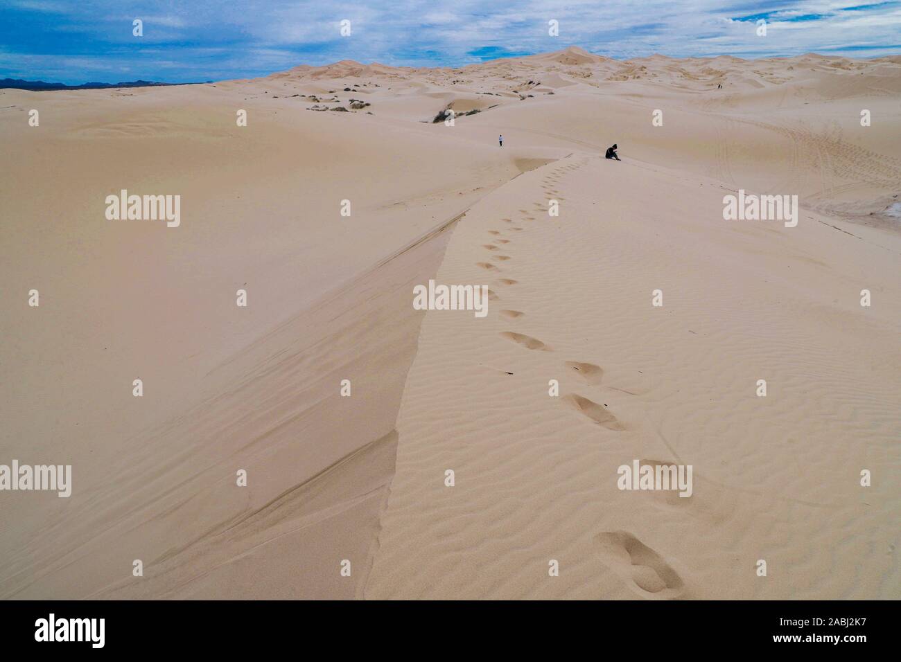 Dunes de sable du désert, Chihuahua Mexique Samalayuca. 52 km au sud de Ciudad Juárez, au beau milieu du désert, région connue sous le nom de Médanos Samalayuc Banque D'Images