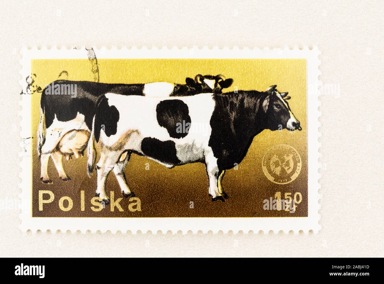 SEATTLE WASHINGTON -Novembre 21, 2019:1964 Stamp à partir de la Pologne avec le noir et blanc lait Holstein vache et taureau. Scott #  2099. Banque D'Images