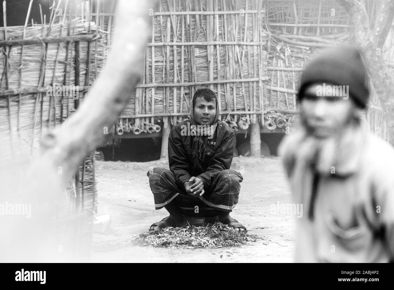 Bangladesh - janvier 06, 2014 : sur un matin d'hiver brumeux, les animaux survivent à au Ranisankail, Thakurgaon. Banque D'Images Bangladesh - janvier 06, 2014 : sur un matin d'hiver brumeux, les animaux survivent à au Ranisankail, Thakurgaon. Banque D'Images