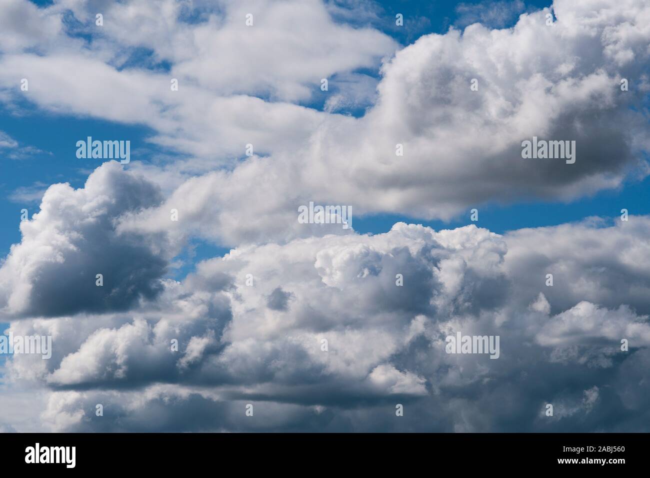 Les cumulus avec la croissance verticale dans ciel dramatique Banque D'Images
