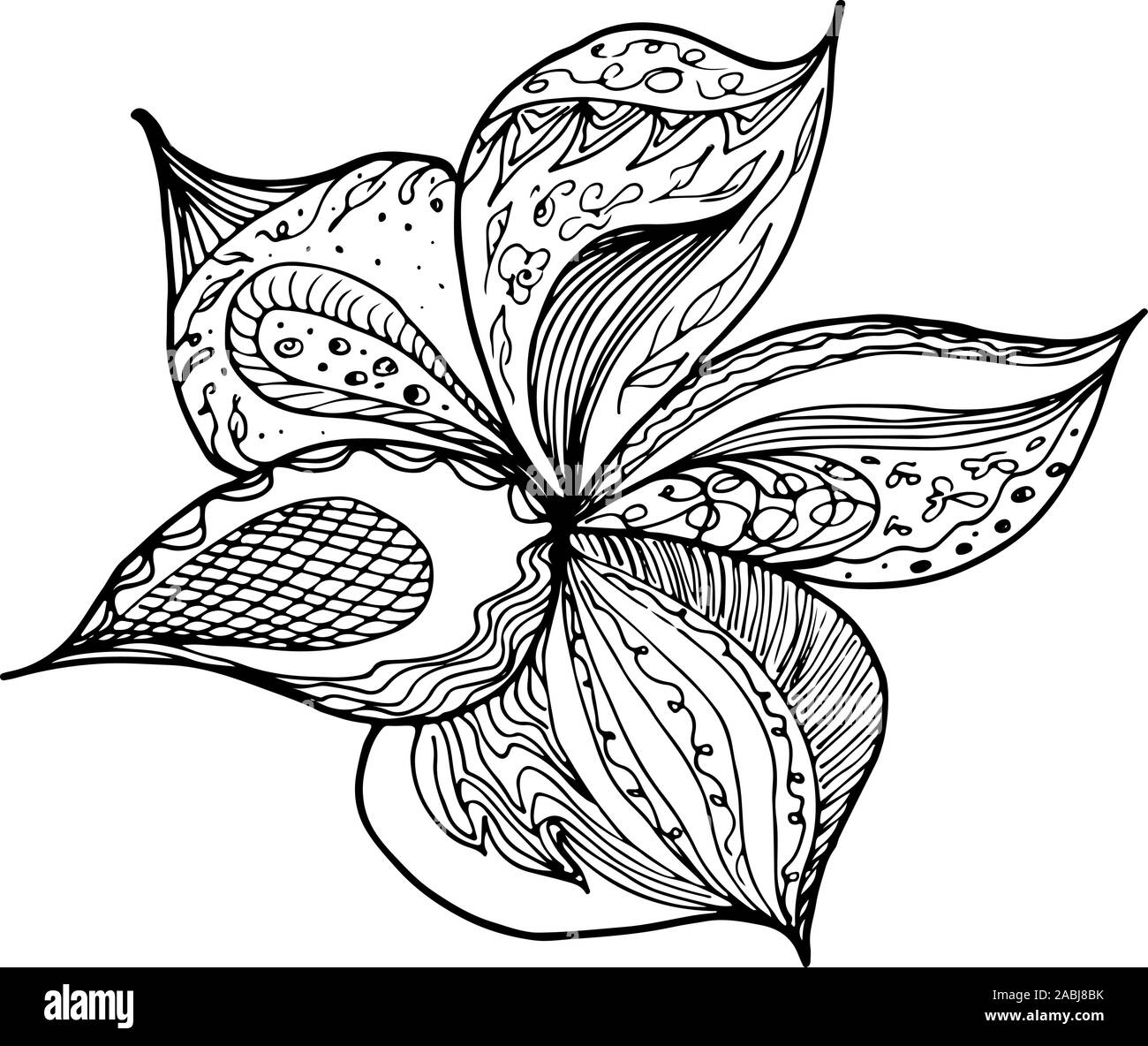Dessinés à la main, gravée abstract orchid. Fleurs rétro contour main orchidée, grande conception pour tout usage. Contours vecteur. Arrière-plan de la nature. Scieries de pla Illustration de Vecteur