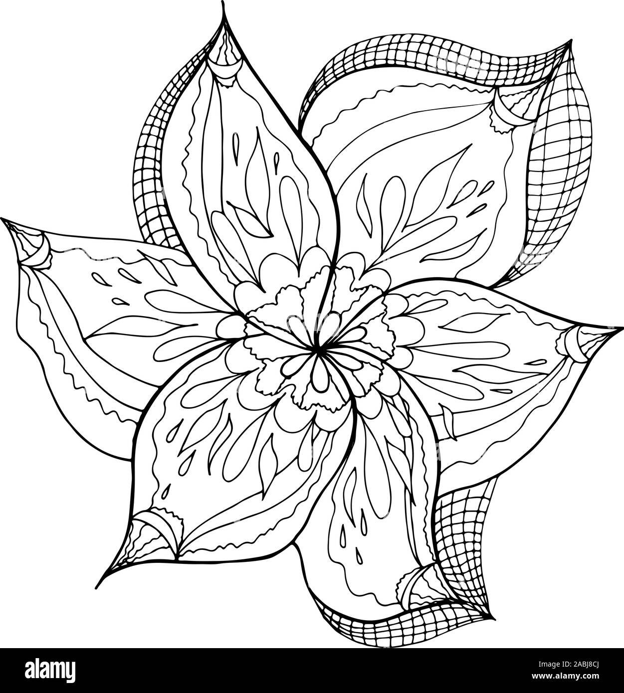 Dessinés à la main, gravée abstract orchid. Fleurs rétro contour main orchidée, grande conception pour tout usage. Contours vecteur. Arrière-plan de la nature. Scieries de pla Illustration de Vecteur