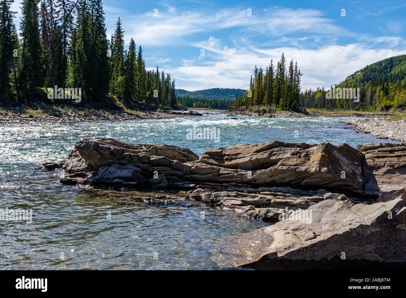 Belle rivière de montagne entouré par des lits de rivières et de grands pins, le tout sous un ciel bleu avec des nuages blancs vaporeux. Banque D'Images