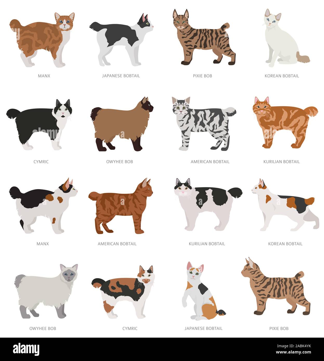 Type de queue courte bob cats. Les races de chats domestiques et hybrides collection isolated on white. Style plat. Vector illustration Illustration de Vecteur