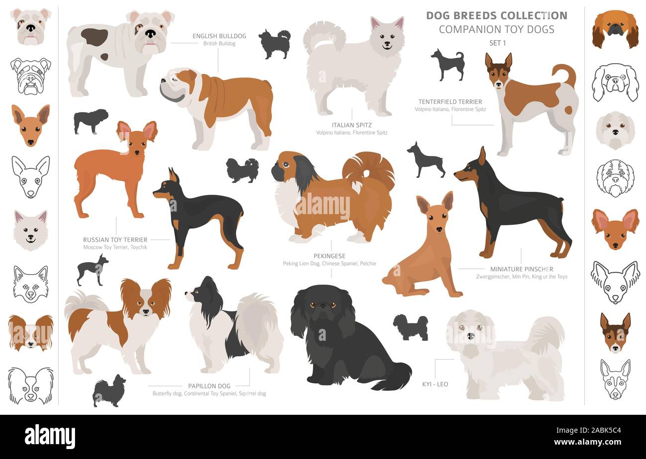 Jouet miniature et de compagnie chiens collection isolated on white. Style plat. Autre couleur et pays d'origine. Vector illustration Illustration de Vecteur