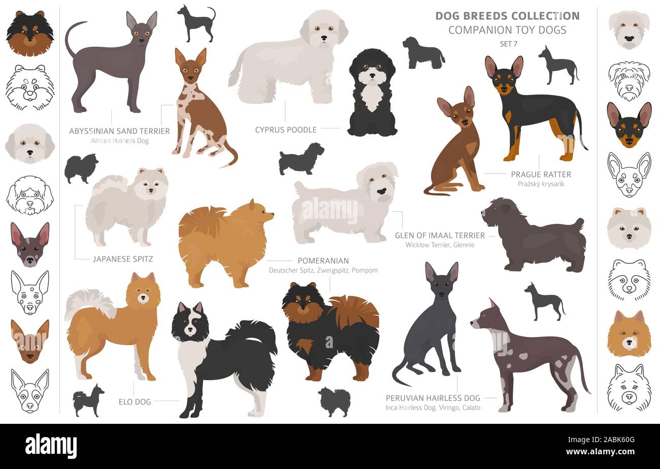 Jouet miniature et de compagnie chiens collection isolated on white. Style plat. Autre couleur et pays d'origine. Vector illustration Illustration de Vecteur