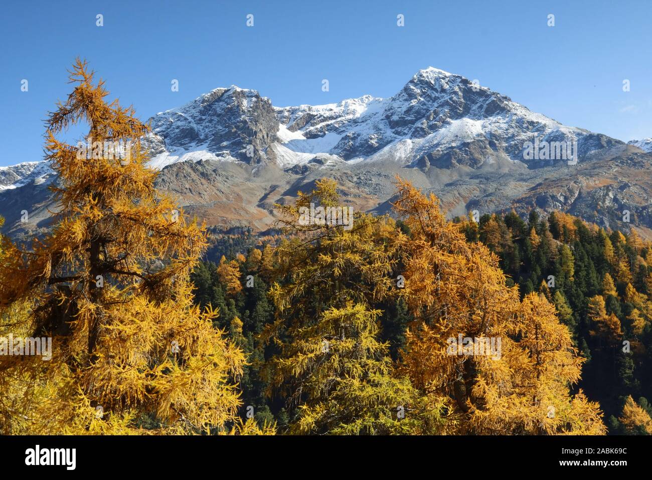 Goldener Oktober im Engadin Banque D'Images