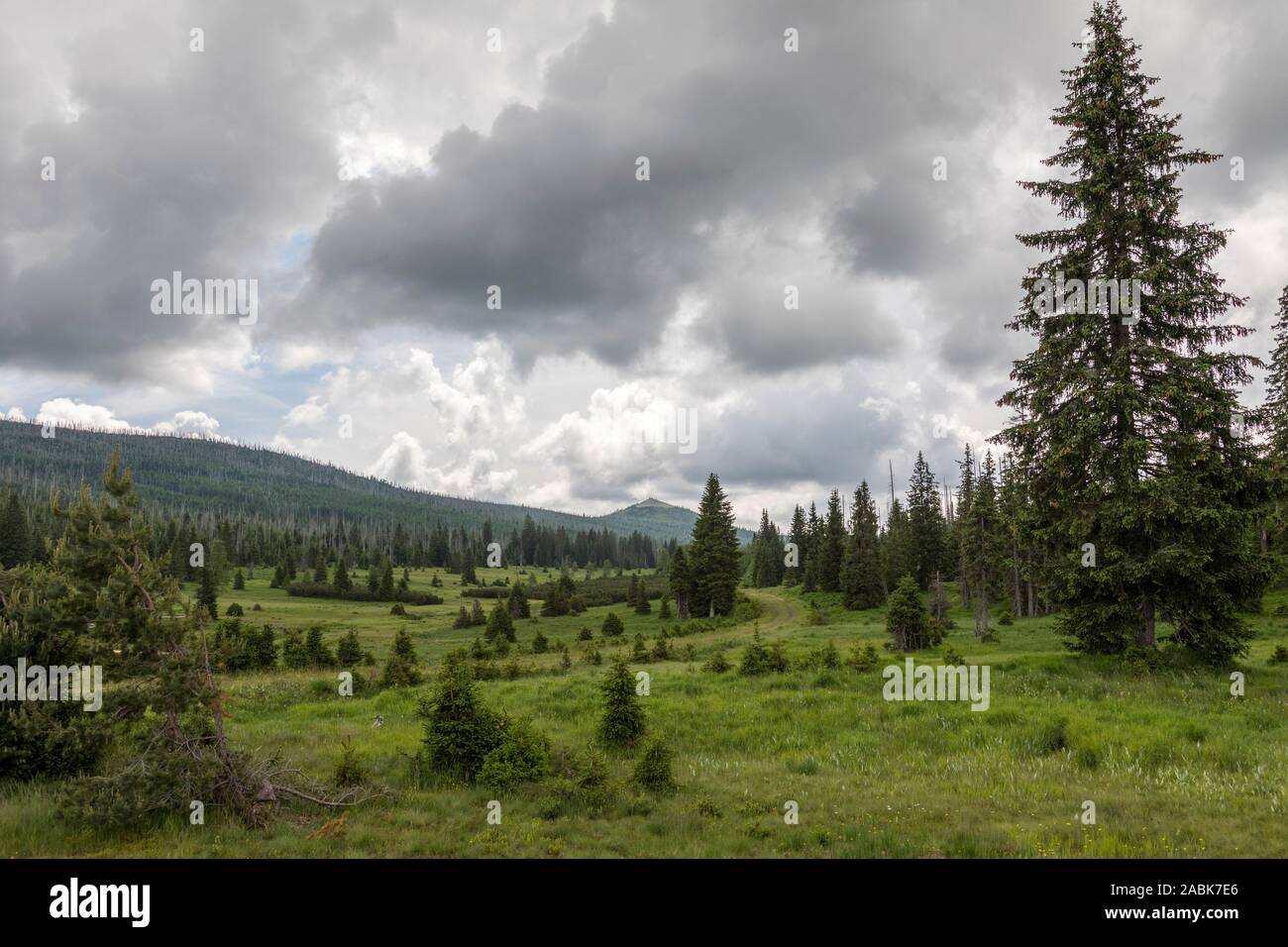 Paysage à Bohemian Forest National Park.République Tchèque Banque D'Images