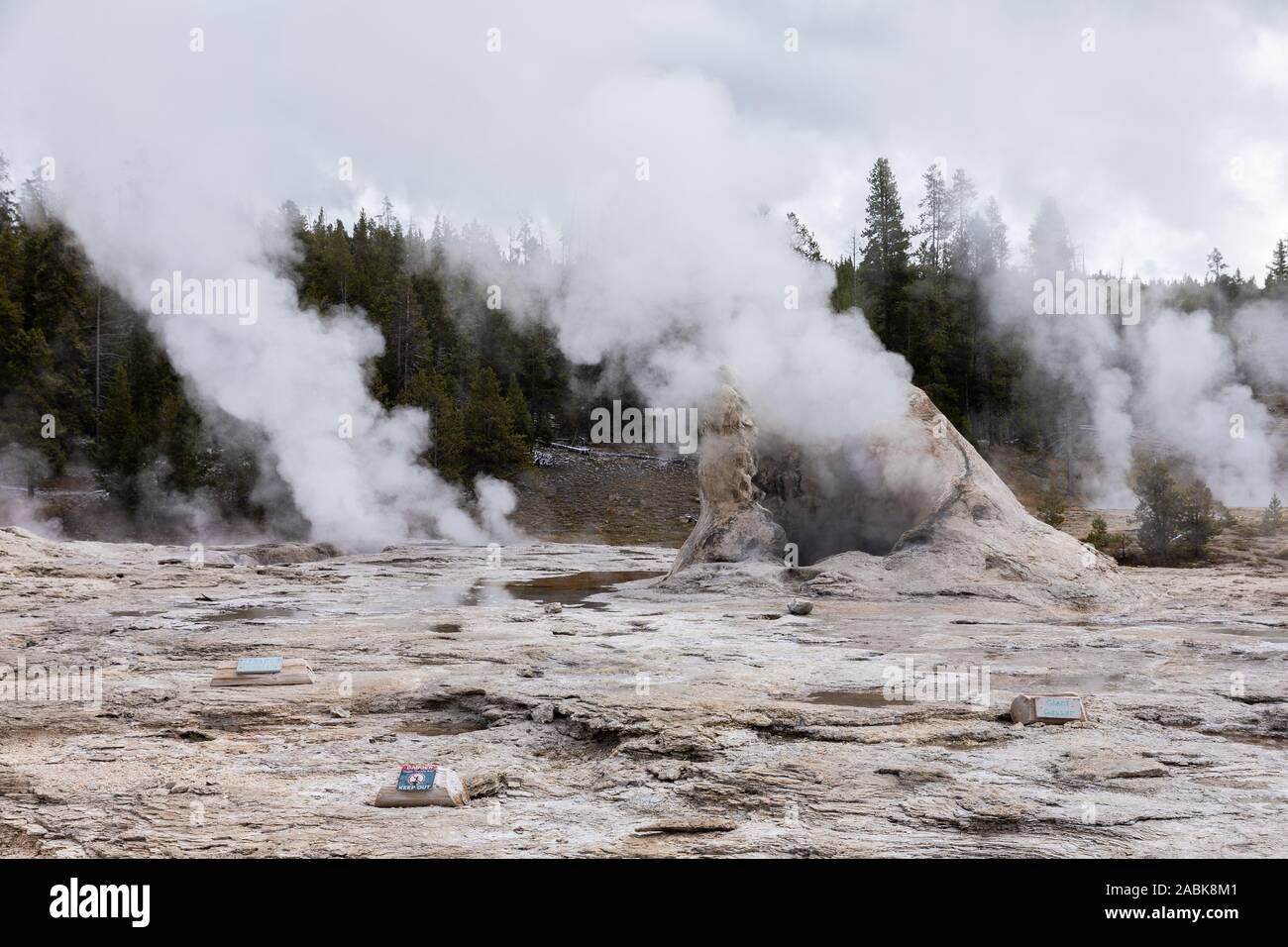 Zone dangereuse du grand geyser cône blanc explosion de vapeur dans l'air, le Parc National de Yellowstone, Wyoming, USA. Banque D'Images