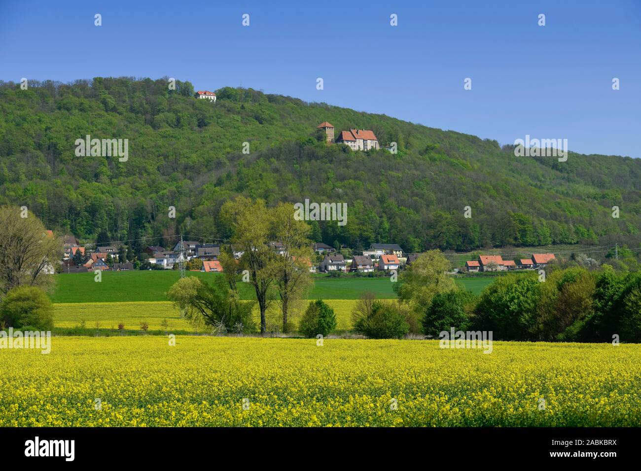 Paschenburg und Burg Schaumburg, Rinteln, Weserbergland, Niedersachsen, Deutschland Banque D'Images