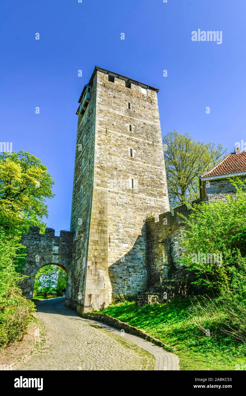 Bergfried, Burg Schaumburg, Rinteln, Weserbergland, Niedersachsen, Deutschland Banque D'Images
