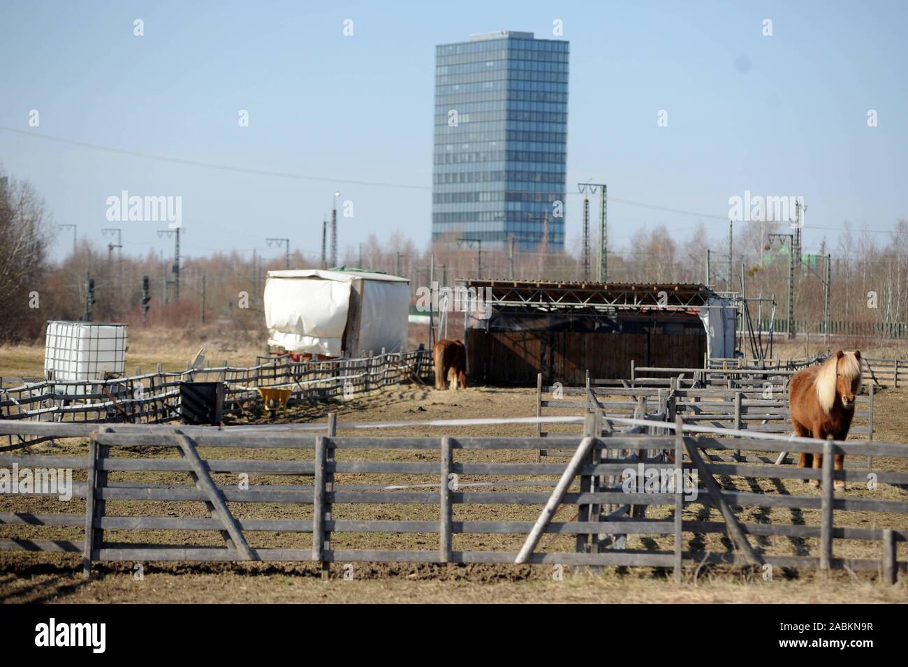 Chevaux sur les terrains de la ferme pédagogique à Thomas-Hauser-Straße 2 / Trudering à Berg am Laim. Dans l'arrière-plan les gratte-ciel de la Süddeutscher Verlag. [Traduction automatique] Banque D'Images