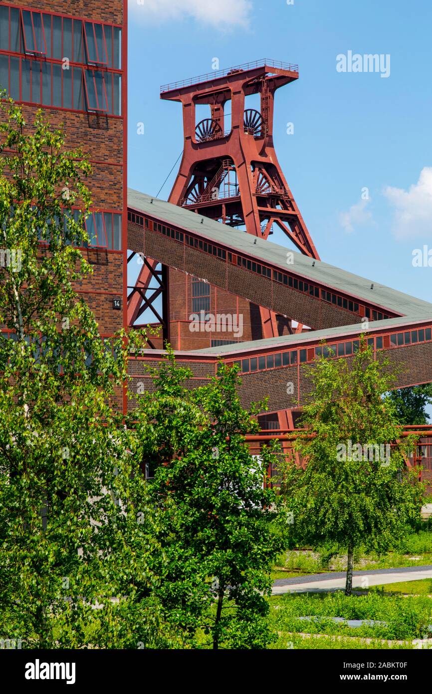 La mine Zollverein classé au patrimoine mondial, à Essen, l'arbre, Zollverein XII fosse double trame, Allemagne Banque D'Images