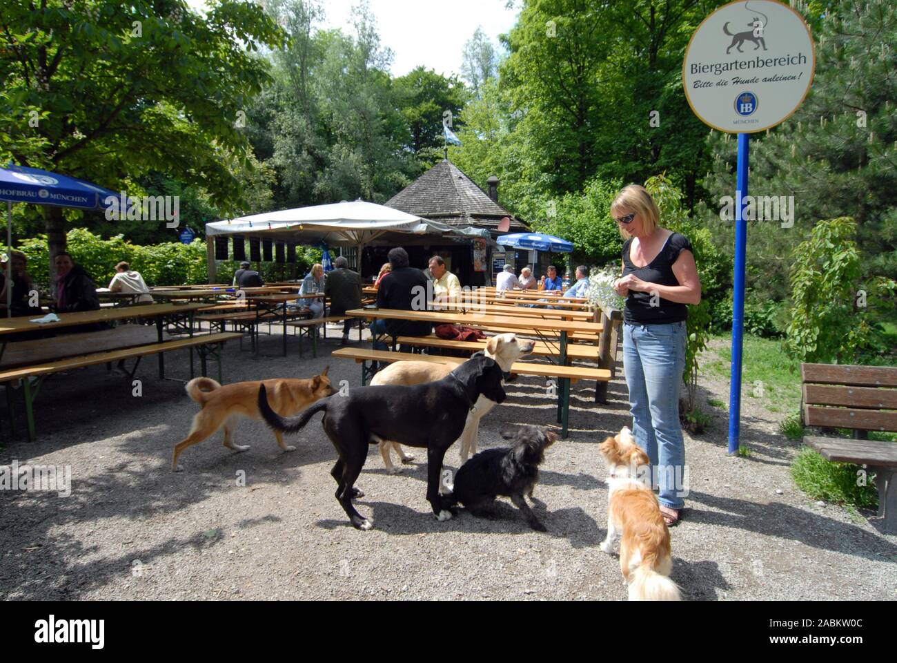 La Hofbräuhaus 'Mini' dans le nord du jardin anglais, aussi un lieu de  rencontre pour chiens [traduction automatique] Photo Stock - Alamy