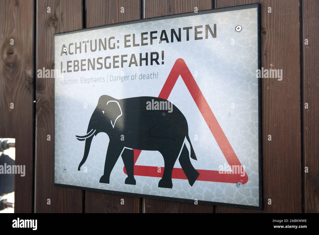 Dans la maison de l'éléphant dans le zoo Hellabrunn est suspendu un panneau d'avertissement. [Traduction automatique] Banque D'Images