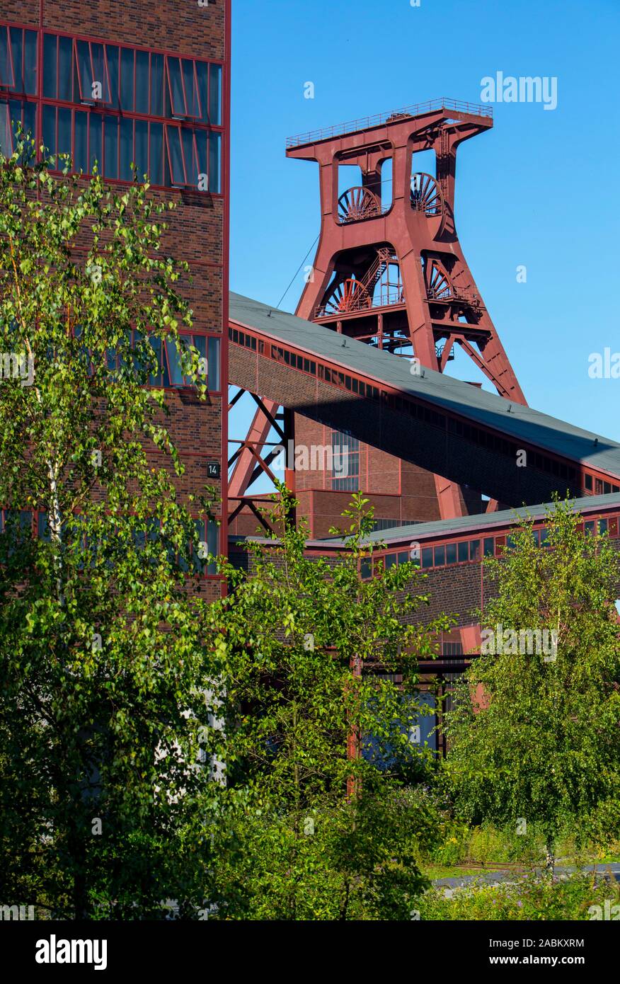 La mine Zollverein classé au patrimoine mondial, à Essen, l'arbre, Zollverein XII fosse double trame, Allemagne Banque D'Images