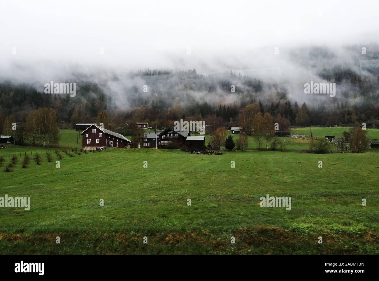 Les petits villages authentiques scandinave, vieilles maisons, ermite moderne, la vie de l'herbe peut et le brouillard. Carte de vœux ou une bannière magnifique Banque D'Images