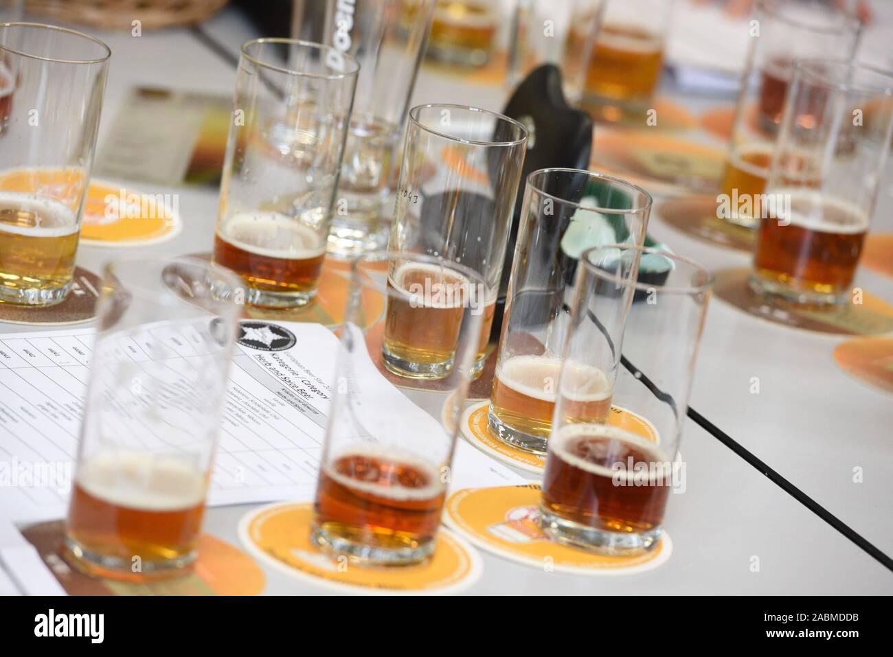 De nombreuses bières seront testés par le jury à l'Académie Doemens Brewing à l'European Beer Award 2019. 2000 types de bière ont été envoyés. [Traduction automatique] Banque D'Images