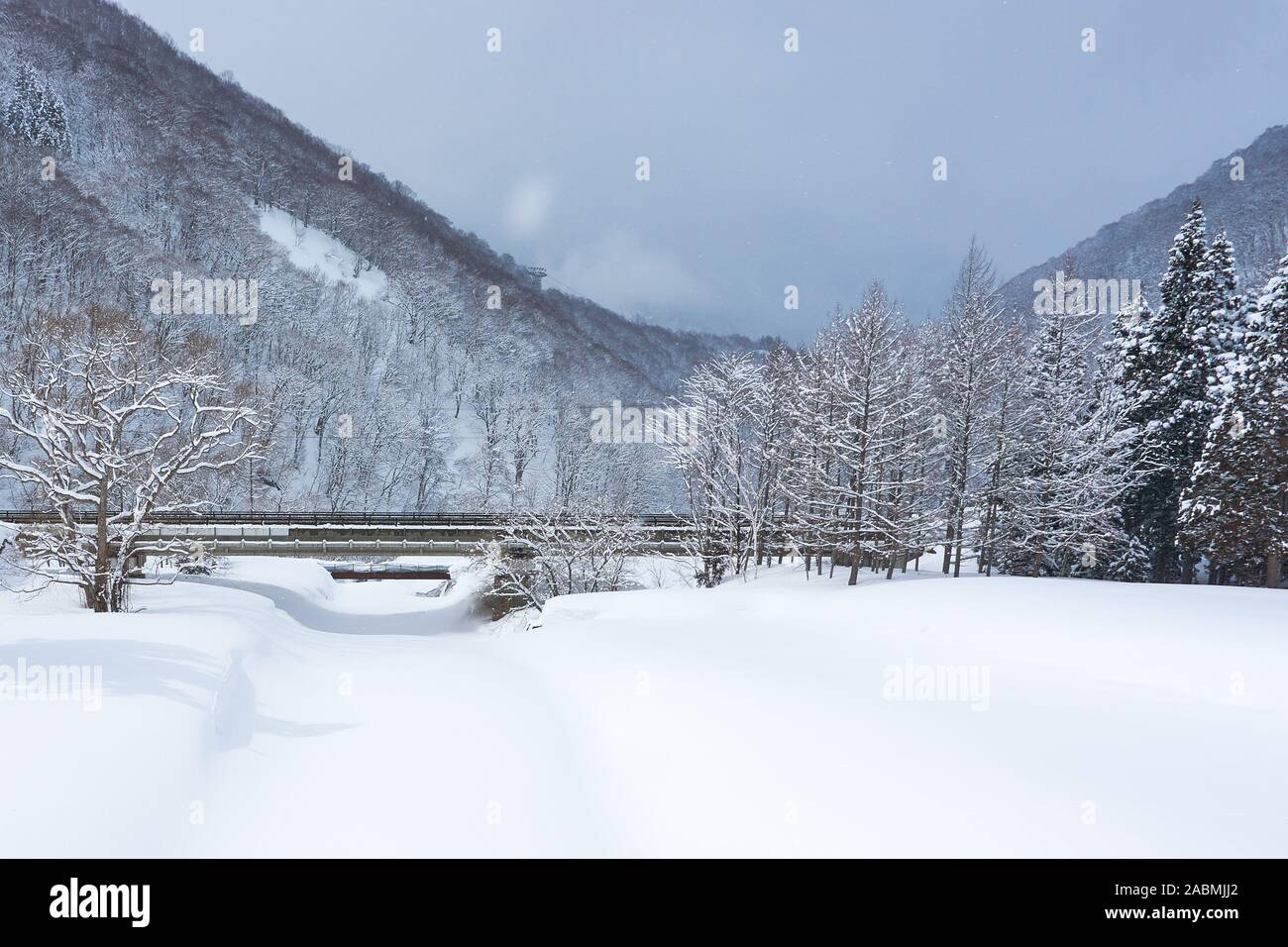 Le Futaiohashi 二居大橋 (Pont) traverse la rivière Nii (新川) par une froide journée nuageuse dans la forêt, montagnes neige-couvertes de Yuzawa, Niigata, Japon. Banque D'Images