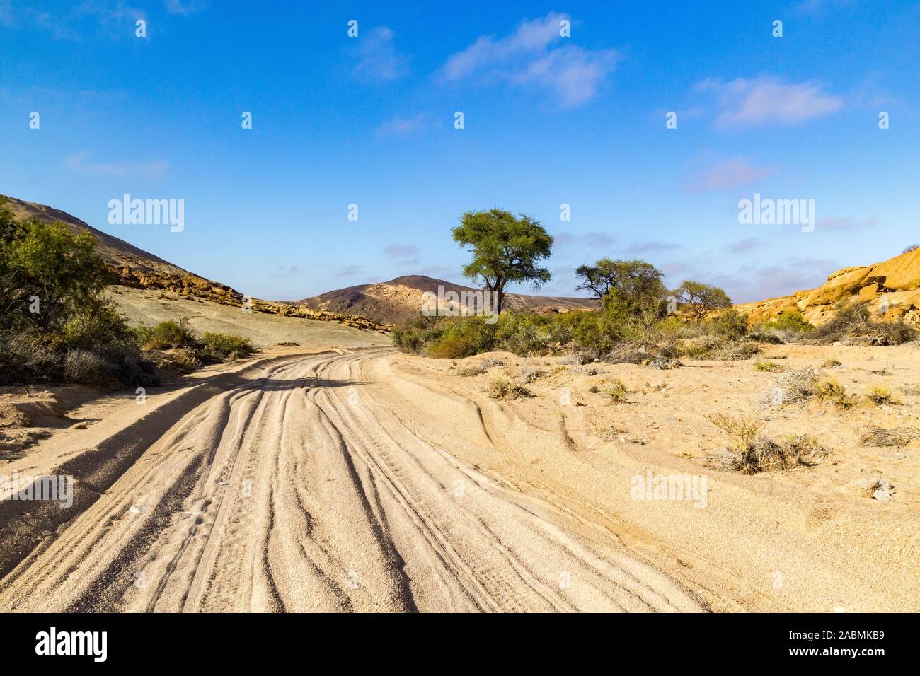 Piste de sable mène à travers le désert, le Namib Naukluft Park, Namibie, Afrique Banque D'Images