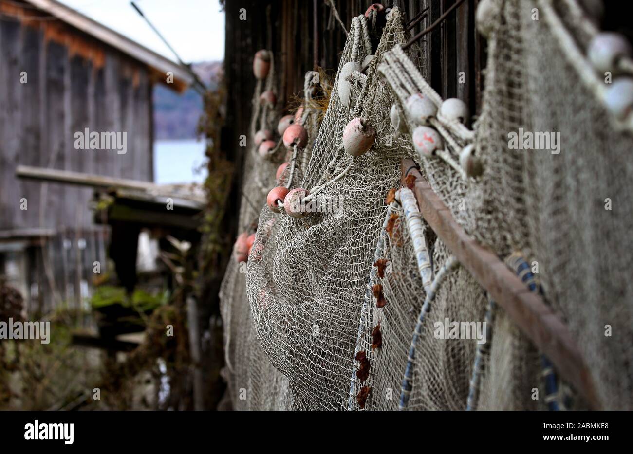 28 novembre 2019, la Bavière, Dießen : filets de pêche se suspendre à une remise à bateaux sur la rive du lac Ammersee. Photo : Karl-Josef Opim/dpa Banque D'Images