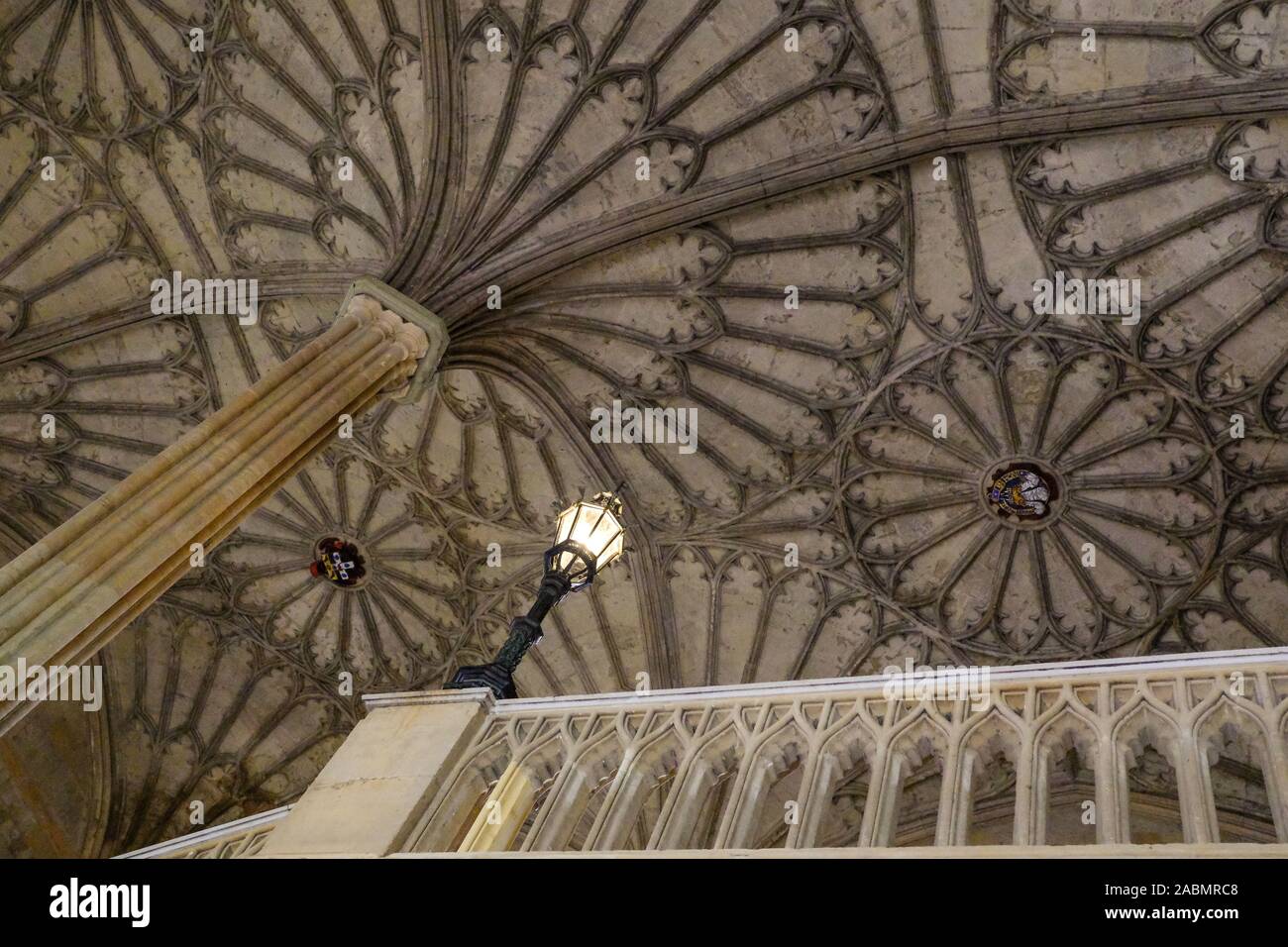 Le ventilateur de plafond à voûte au-dessus de l'Escalier Hall au Christ Church College d'Oxford. Banque D'Images