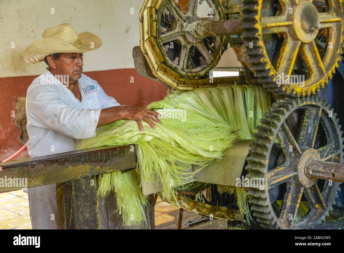 Maschine zum Quetschen von Sisal-Agaven Landwirtschaftsmuseum, von, Sisalfasern, Hacienda Sotuta de Peon, Yucatan, Mexique Banque D'Images