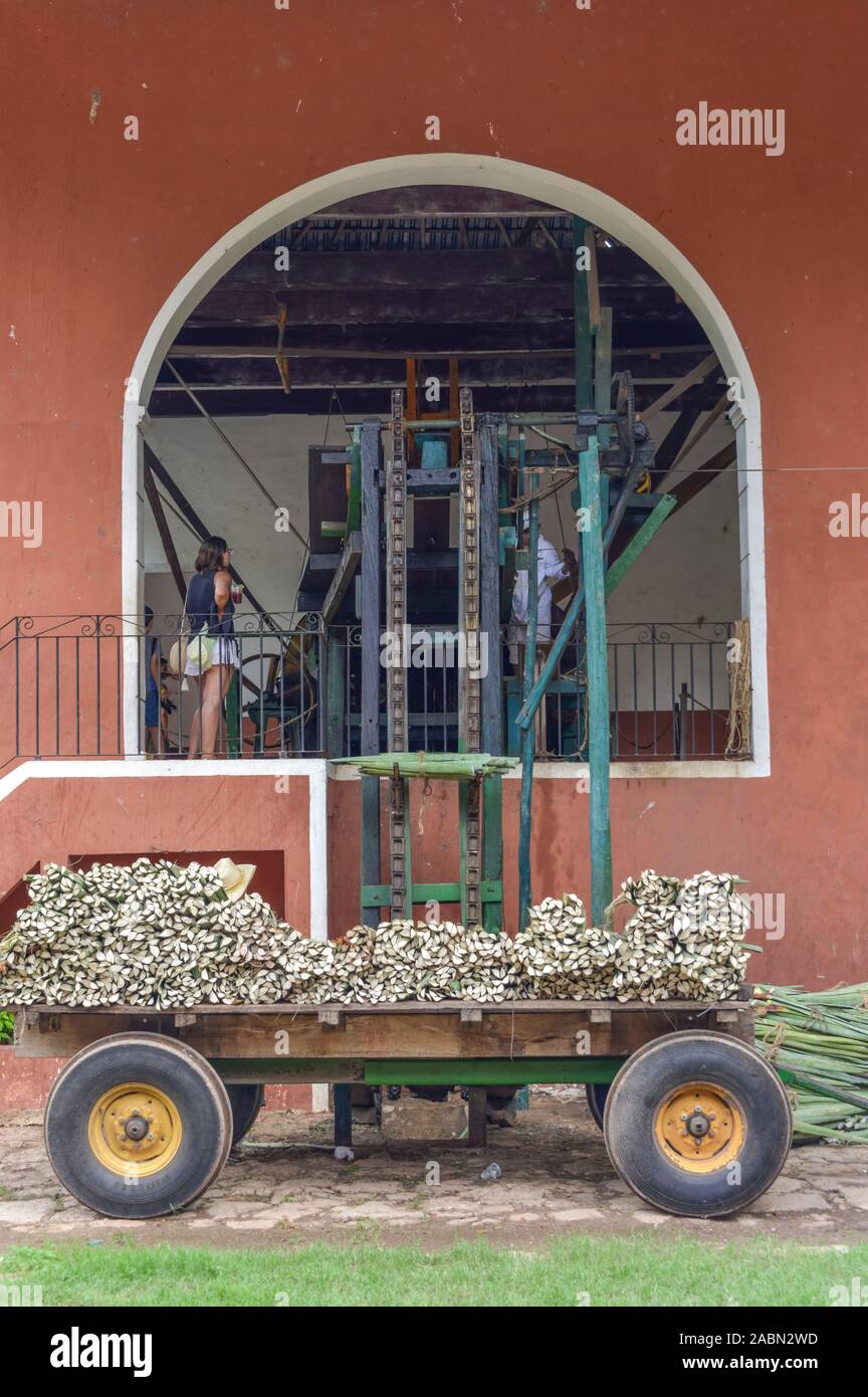 Werk Basel von henequen, Agaven Landwirtschaftsmuseum, Produktion von Sisalfasern, Hacienda Sotuta de Peon, Yucatan, Mexique Banque D'Images