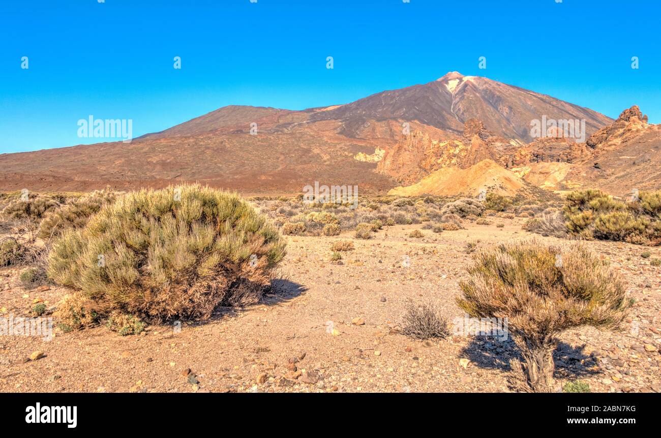 Paysage volcanique dans le Parc National du Teide, Tenerife Banque D'Images