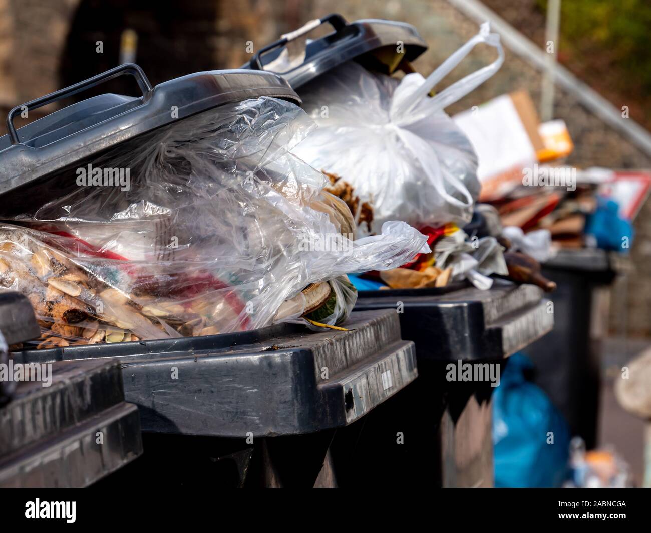 Poubelles avec de nombreux sacs à déchets Banque D'Images