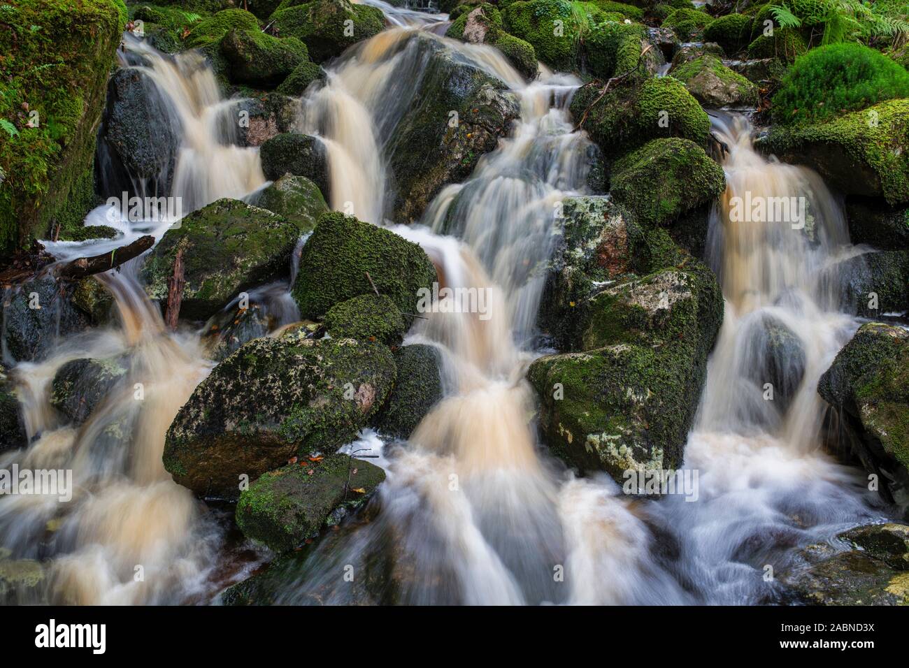 Cascades de la brûler, Lowran près de Loch Ken, Dumfries et Galloway, Écosse Banque D'Images